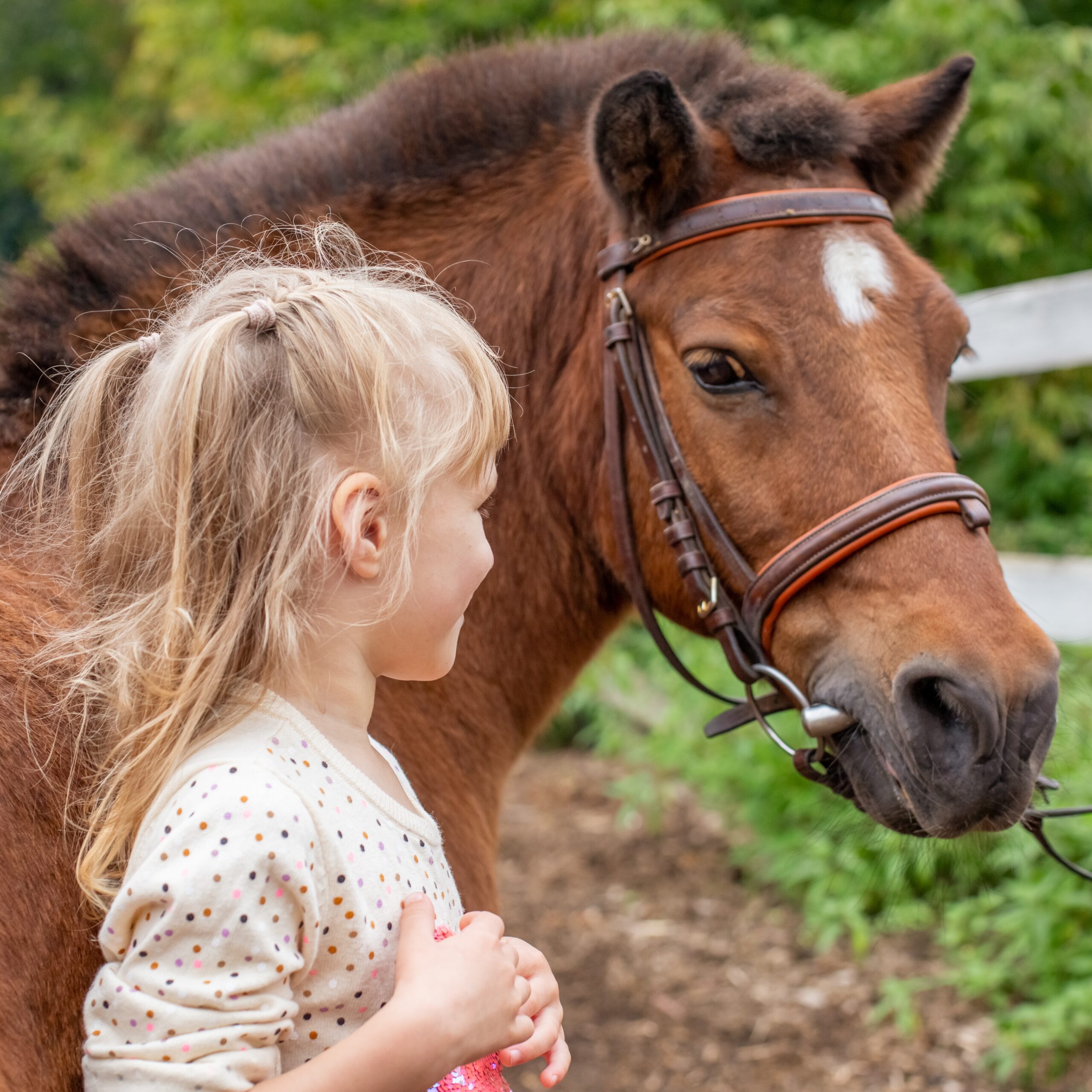 Kleines Mädchen mit ihrem Pony Kleines Mädchen mit ihrem Pony