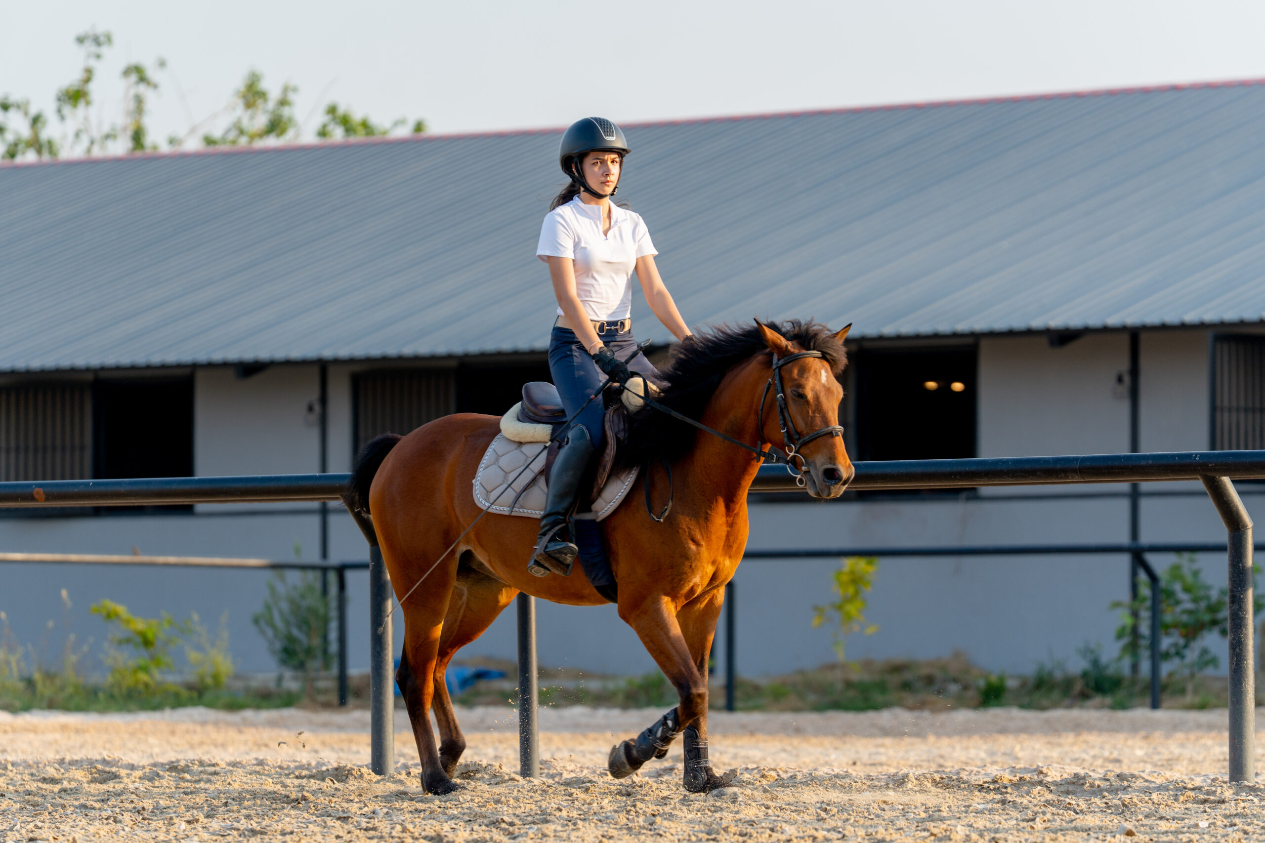 Reitanfängerin übt den sicheren Sitz im Sattel während der Reitstunde auf einem braunen Pferd