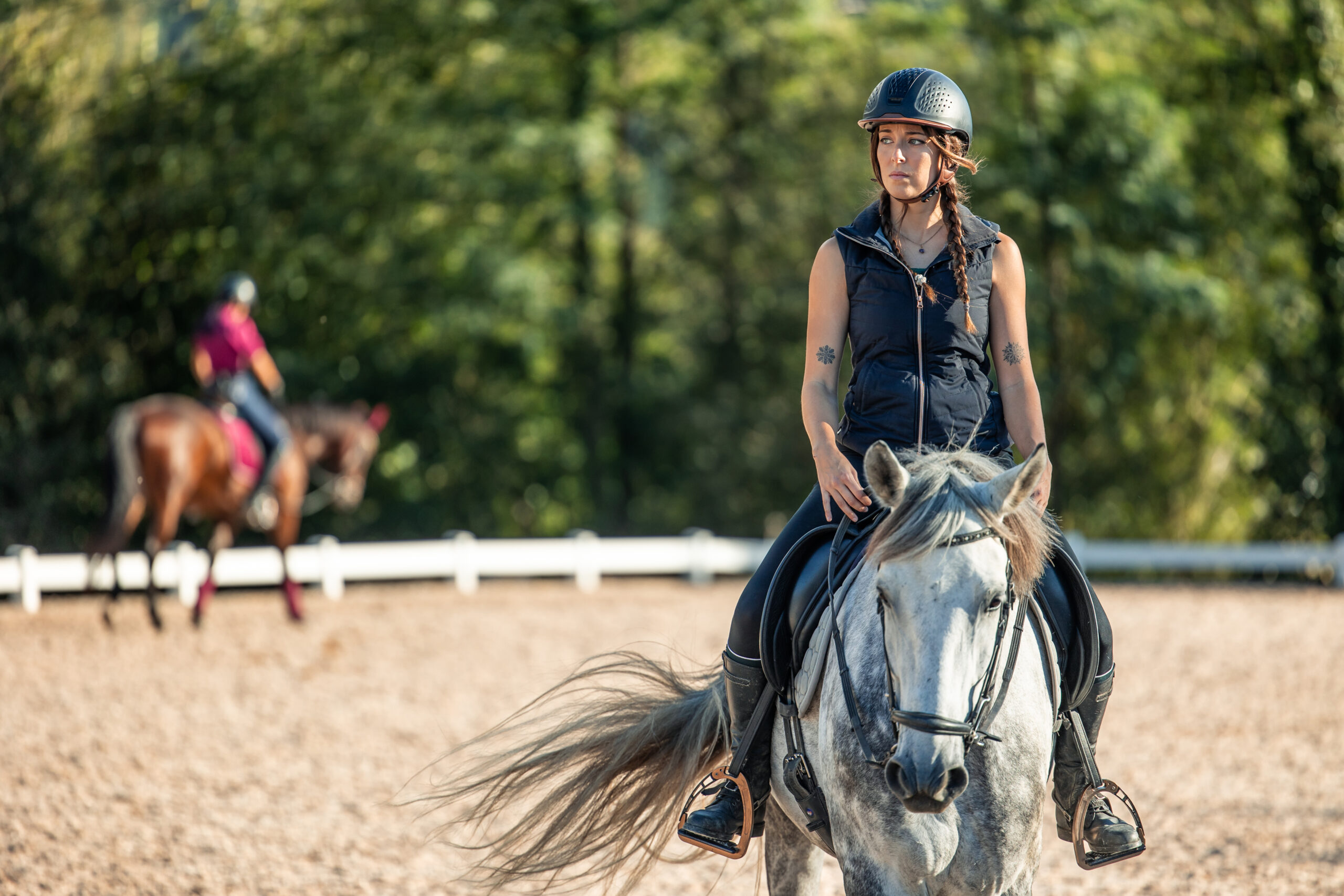 Reitstunde für Einsteiger – Reitstunde 1×1
